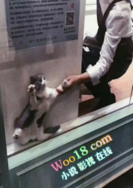 余初尧名字打分
