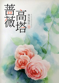 蔷薇高腰直筒裤面料